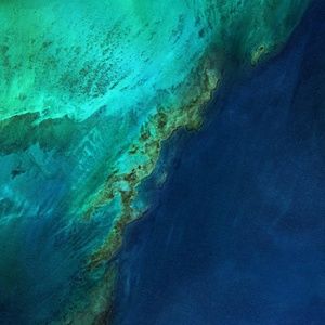 Meet your Posher, Gian